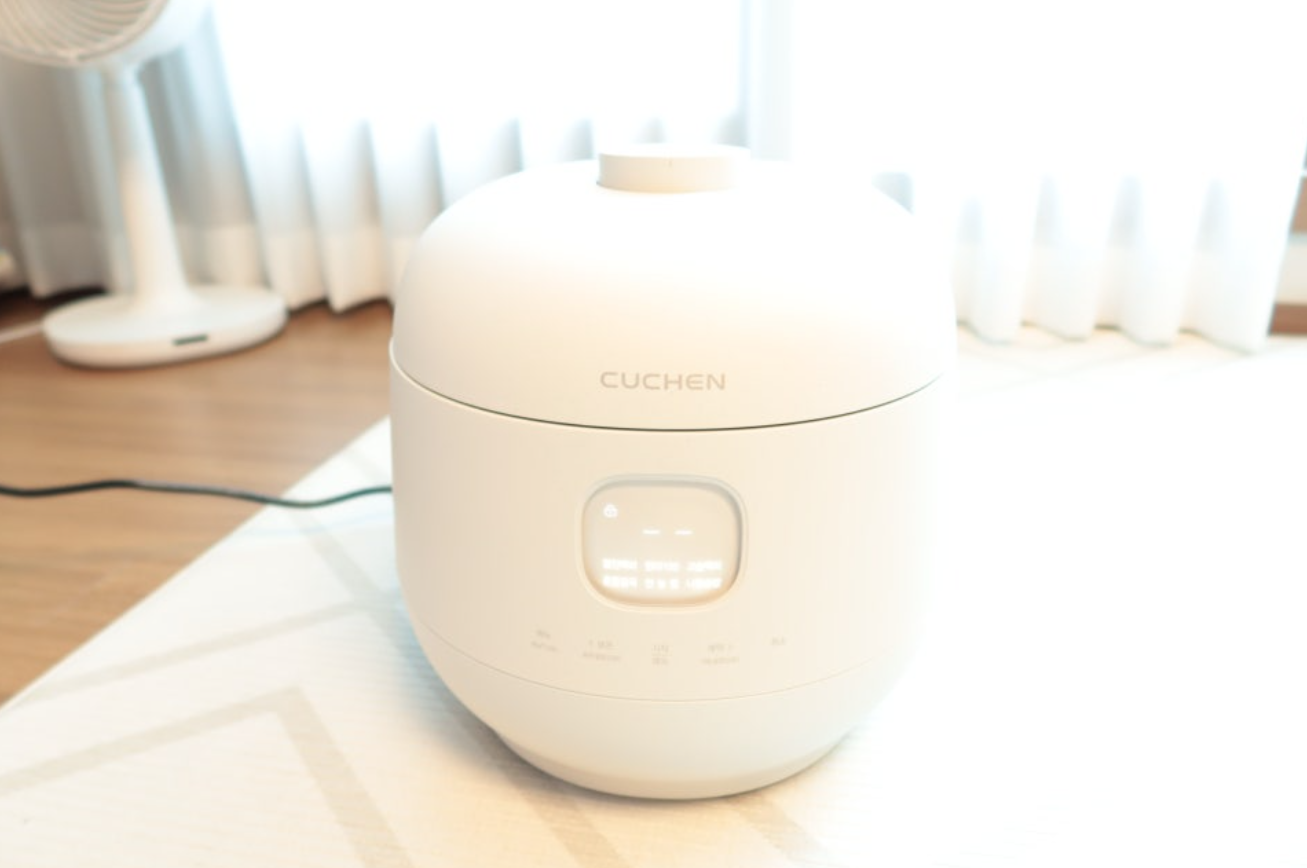 stainless inner pot rice cooker